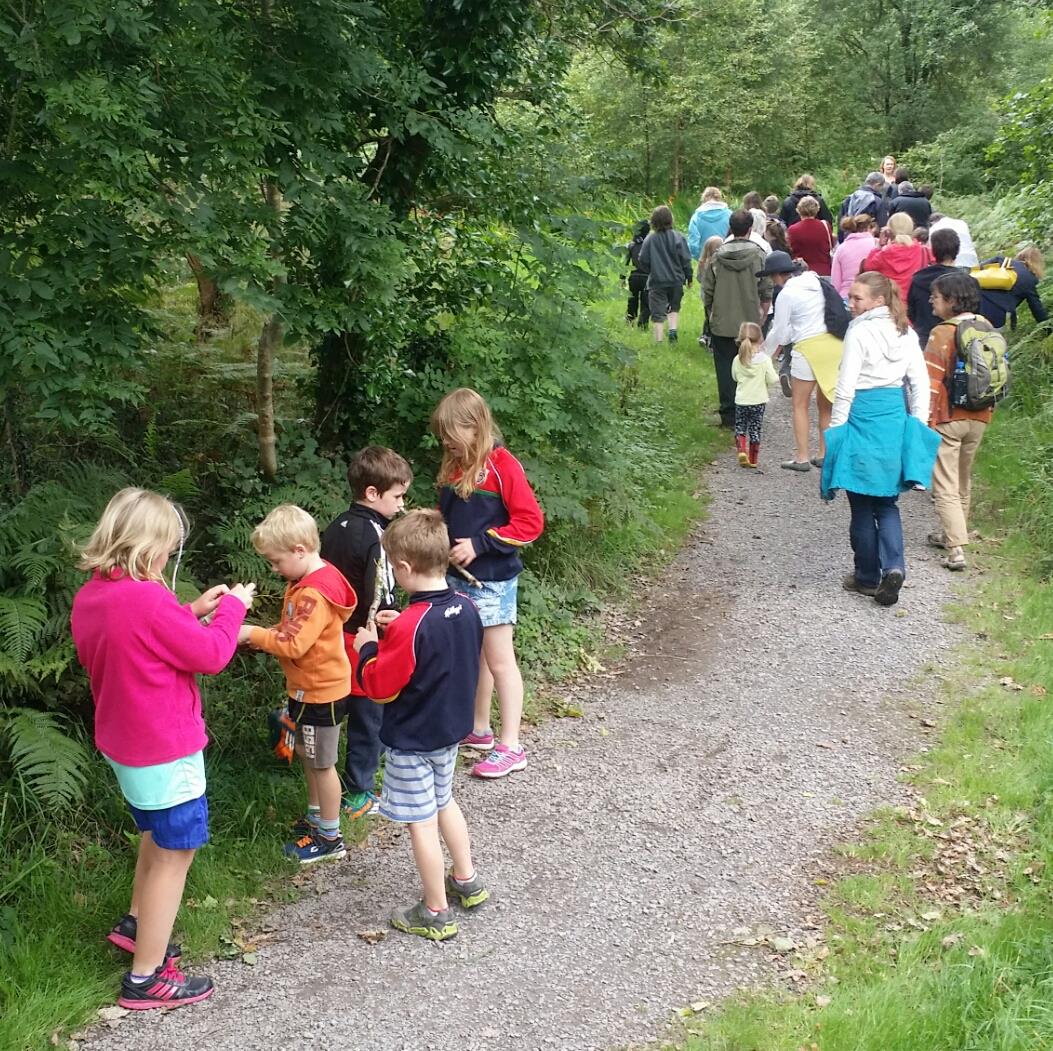 Children Walking in woodland