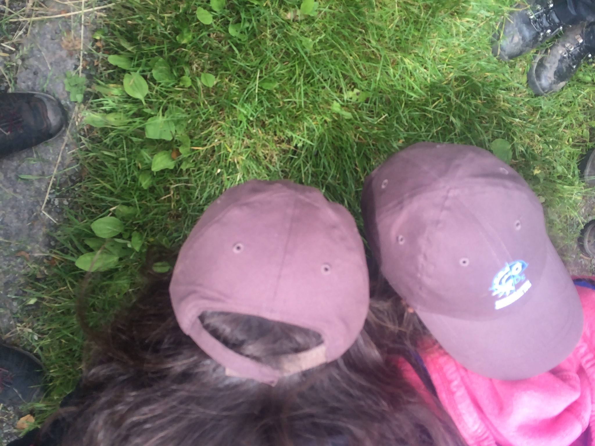 Children Looking