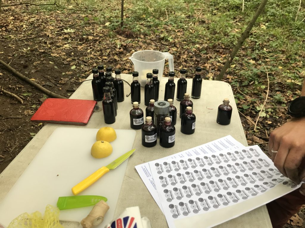 Elderberries Bottling - Foraging - Preserving - Bushcraft - Pippin & Gile