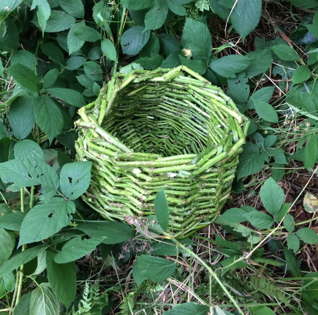 The finished Bramble Basket. Basketry - Pippin & Gile - Bushcraft in The Brecon Beacons