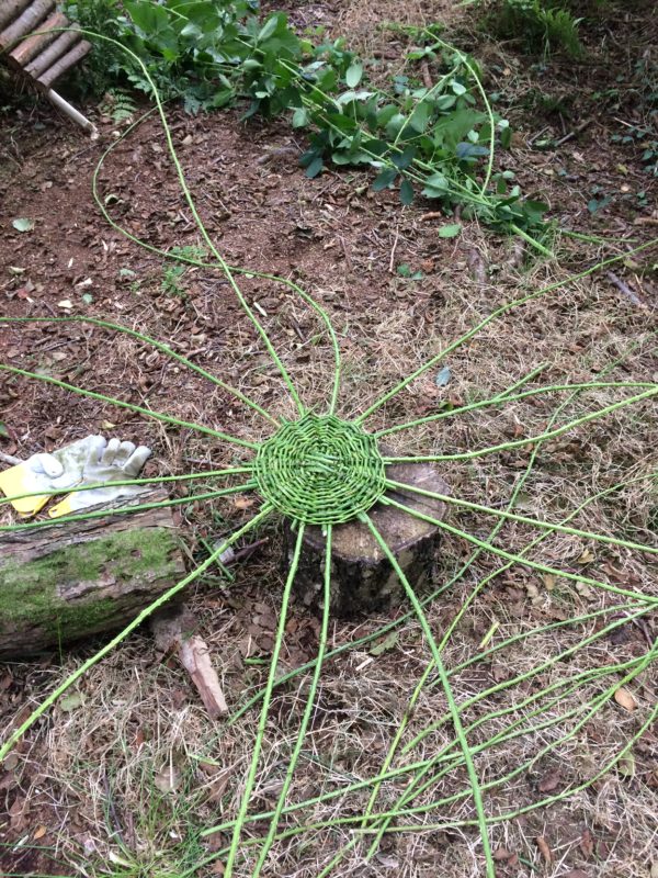 Bramble Spider. Basketry - Pippin & Gile - Bushcraft in The Brecon Beacons