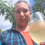 Spring time wild champagne drinking - Foraging - preserving - preserving courses