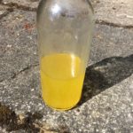 Finished Products - Gorse Cordial - Pippin & Gile - Bushcraft and Foraging - South London - South Wales - Mid Wales - Brecon Beacons National Park - Surrey