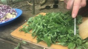Nettle Chopping - Nettle Champ Recipe - - Pippin & Gile - Bushcraft and Foraging - South London - South Wales - Mid Wales - Brecon Beacons National Park - Surrey