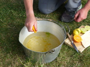 Juice of the orange - Elderflower - Foraging Courses - Preserving Courses - Preserving Courses South London - Preserving Courses East Surrey