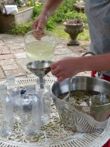 Bottle the champagne - Elderflower - Foraging Courses - Preserving Courses - Preserving Courses South London - Preserving Courses East Surrey