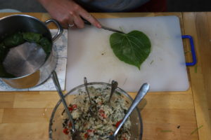 Removing the stem- Dolmades - Stuffed lime leaves - foraging - bushcraft - foraging in south london - foraging in East Surrey - Foraging in the Brecon Beacons - Pippin and Gile