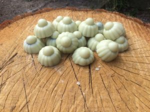 Plantain Hand Balm - Natural Healing - Soft Skin – Pippin & Gile – Bushcraft and Foraging – Brecon Beacons – Surrey – South London - Mid Wales - South Wales - Welsh Borders