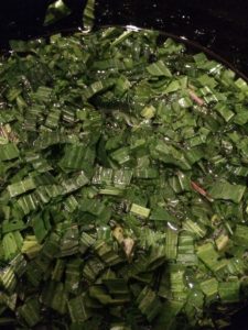 Steeping Plantain in Almond Oil - Plantain Hand Balm - Natural Healing - Soft Skin – Pippin & Gile – Bushcraft and Foraging – Brecon Beacons – Surrey – South London - Mid Wales - South Wales - Welsh Borders