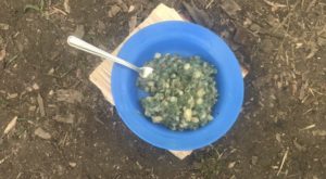 Nettle Champ - Nettle Champ Recipe - Pippin & Gile - Bushcraft and Foraging - South London - South Wales - Mid Wales - Brecon Beacons National Park - Surrey