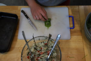 Starting the Roll - Dolmades - Stuffed lime leaves - foraging - bushcraft - foraging in south london - foraging in East Surrey - Foraging in the Brecon Beacons - Pippin and Gile