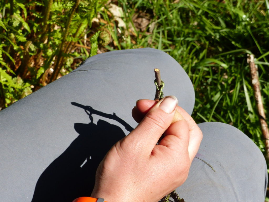 Removing it off the spindle - Nettle Cordage - Bushcraft in South London - Bushcraft in South Wales - Bushcraft in Surrey - Bushcraft in Mid Wales - Bushcraft and Foraging - Pippin & Gile - Primitive Skills