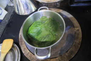 Blanching the lime leaves - Dolmades - Stuffed lime leaves - foraging - bushcraft - foraging in south london - foraging in East Surrey - Foraging in the Brecon Beacons - Pippin and Gile