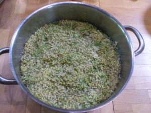 Elderflowers - Elderflower - Foraging Courses - Preserving Courses - Preserving Courses South London - Preserving Courses East Surrey