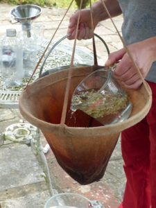 Strain through a muslin - Elderflower - Foraging Courses - Preserving Courses - Preserving Courses South London - Preserving Courses East Surrey