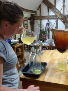 Bottle - Elderflower - Foraging Courses - Preserving Courses - Preserving Courses South London - Preserving Courses East Surrey