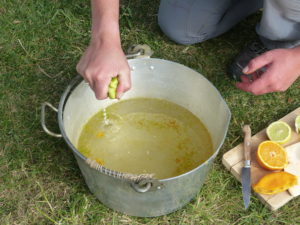 Adding the lemon - Elderflower - Foraging Courses - Preserving Courses - Preserving Courses South London - Preserving Courses East Surrey