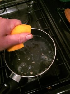 Juice of an Orange - Gorse Cordial - Pippin & Gile - Bushcraft and Foraging - South London - South Wales - Mid Wales - Brecon Beacons National Park - Surrey
