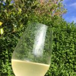 Spring time wild champagne drinking - Foraging - preserving - preserving courses