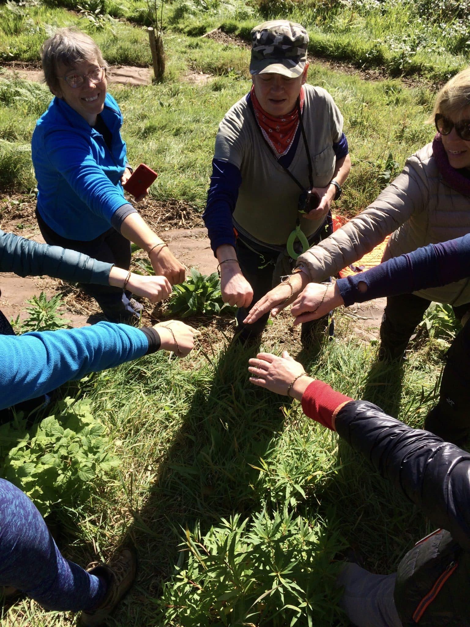 Weekend Bushcraft Course - Nettle Cordage - Pippin & Gile - Bushcraft and Foraging - Courses - South London - South Wales