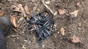 Open the tin and see your charcoal - Charcoal Making - Pippin & Gile Bushcraft Courses and Foraging Courses