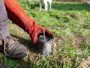 Charcoal Making - Taking it off the Heat - Pippin & Gile Bushcraft Courses and Foraging Courses
