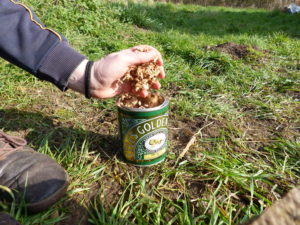 Filling with sawdust - Charcoal Making - Pippin & Gile Bushcraft Courses and Foraging Courses