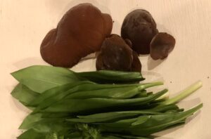 Wild Garlic & Jelly Ear Mushroom