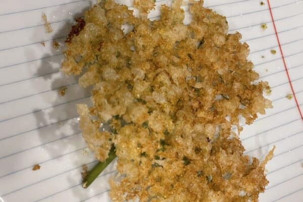 Elderflower Fritters - With Lemonade