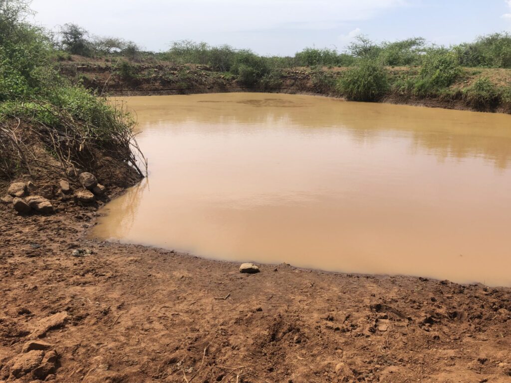 The Dam for drinking water at the Maasai Village we stayed at.