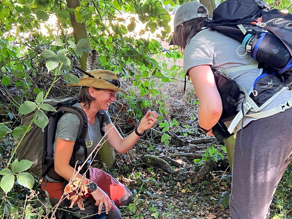 Identifying Hairs Caught on Barbed Wire