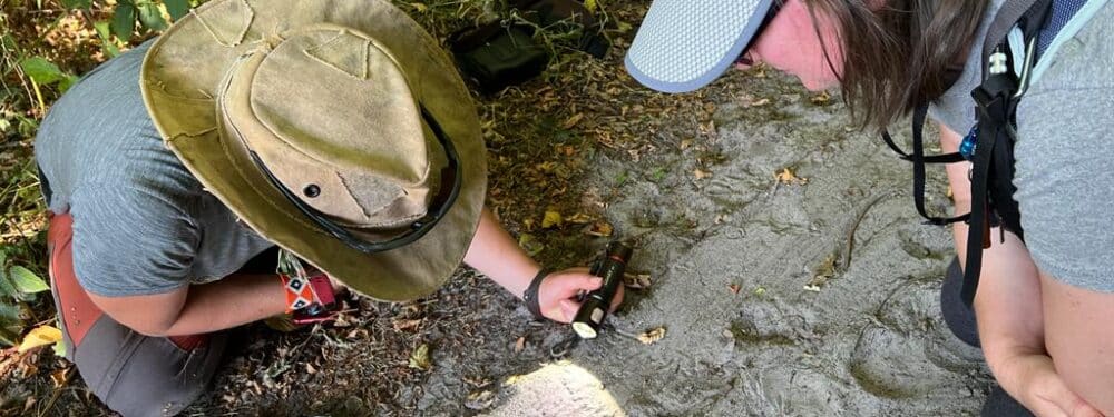 Looking in Track Traps for Tracks - Using a Torch for definition