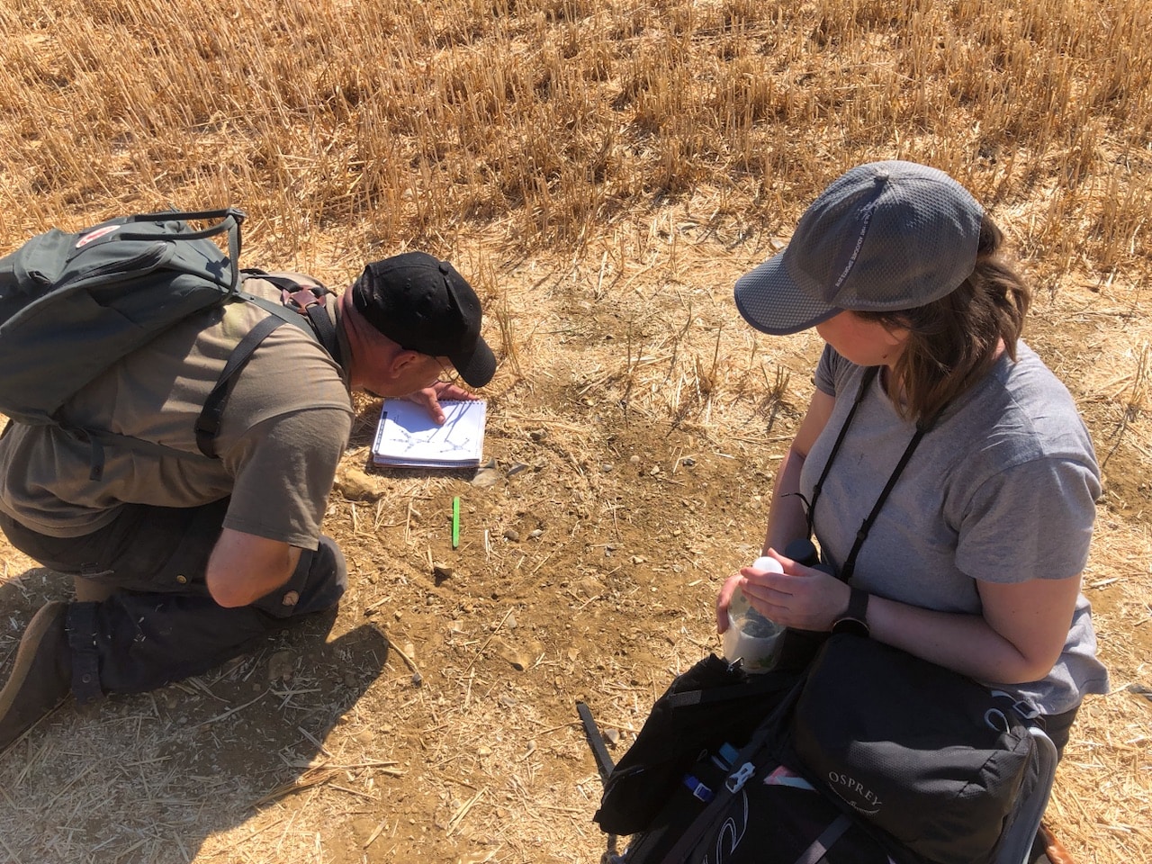 Looking at Owl Tracks