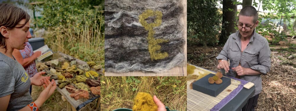 Fleece to Felt Course Image Collection