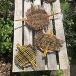 Five finished willow tension platters in the sunshine on a table.