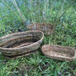 A number of beautiful completed and as yet unfinished hand made willow baskets laid out in the bluebells