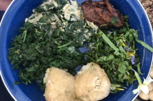 Bowl of Food cooked on a Spring Foraging Course