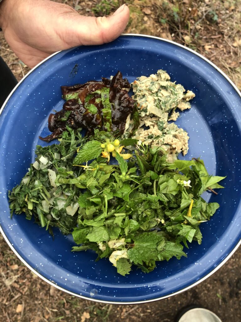 A plate showing a flower filled salad, a pigeon breast and other parts of the main meal on our spring foraging course