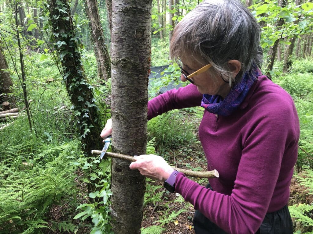 An older women using a tree support a knife cut on a weekend bushcraft course.