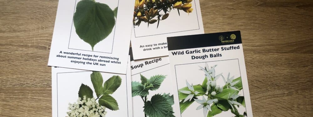 Spring Foraging Recipe Pack