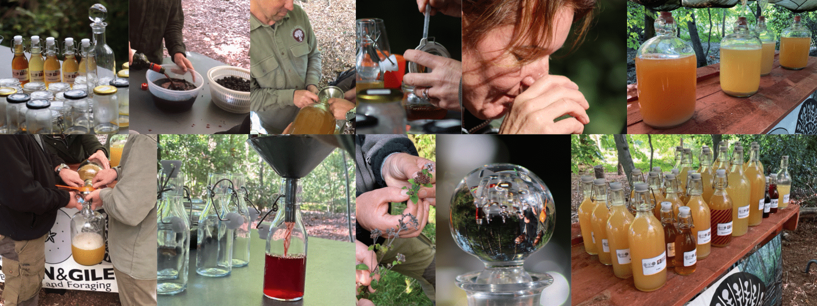 A collage of images, showing bottles, foraged berries and fruits, decanting into demijohns, and people smelling their drinks, as well as lines of drinks and demijohns ready to take way.