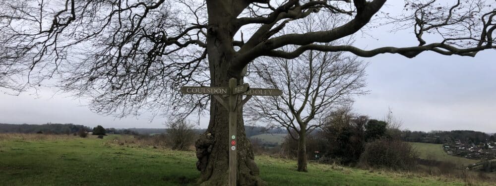 Walk & Talk