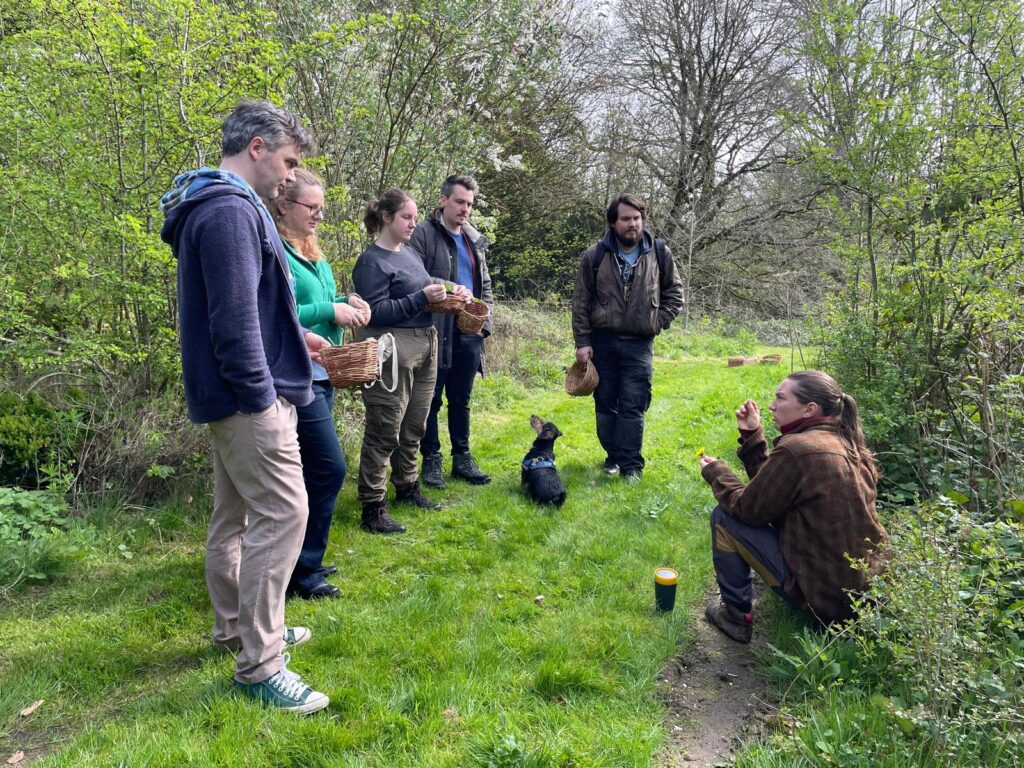 Foraging Spring - Identifying plants - Group of people listening well - South London - Pippin & Gile