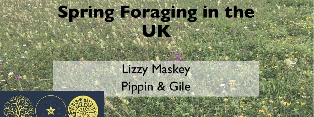 Spring Foraging Webinar