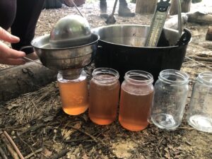 Crab Apple Jelly, a wild preserve, in Jars about to be lidded