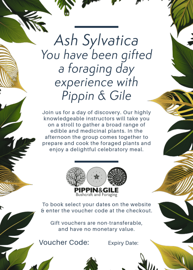 Foraging Course - Gift Voucher