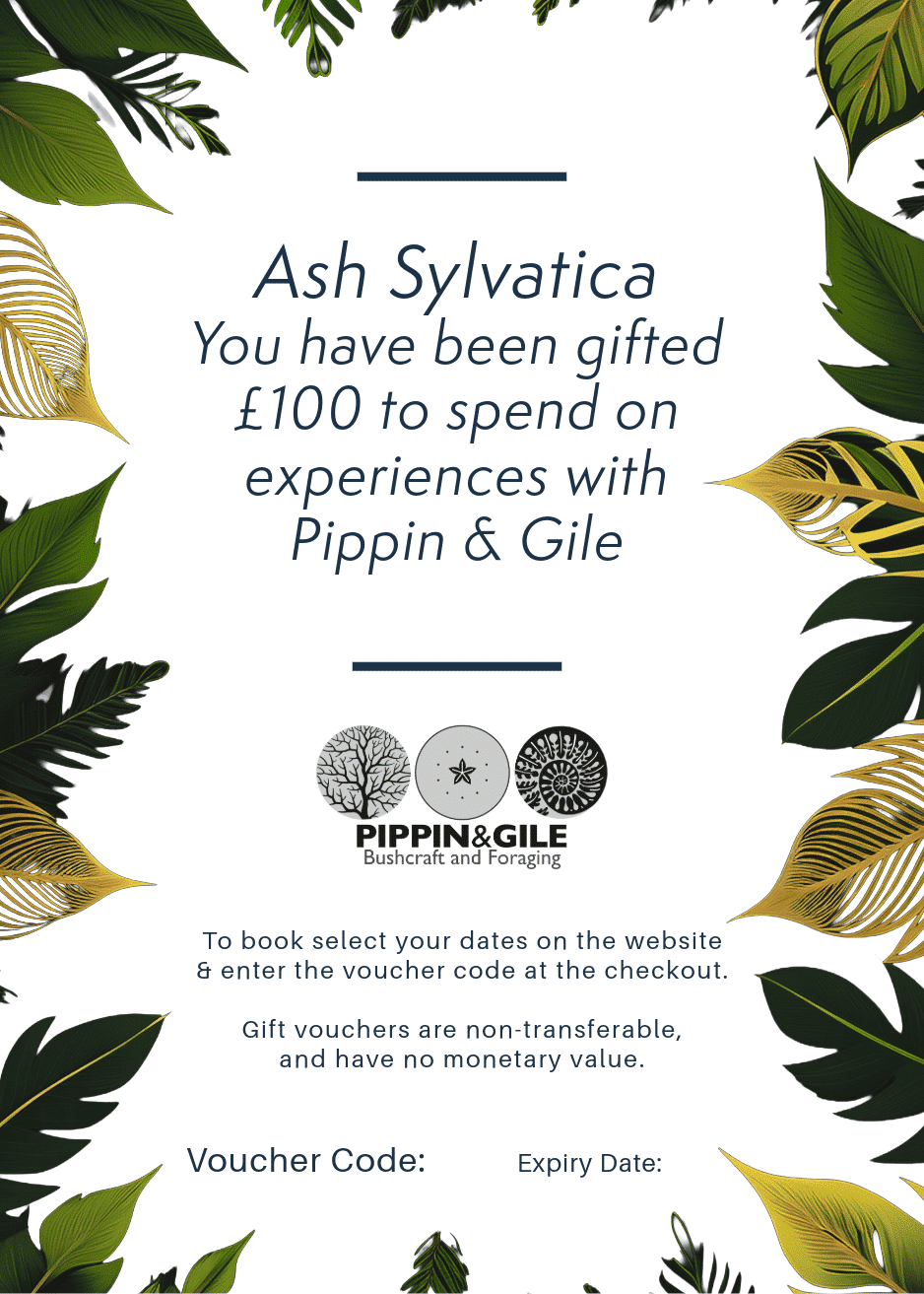 Example Gift Voucher for Pippin & Gile Experiences