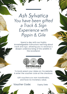 Example Gift Voucher for a Track & Sign Experience