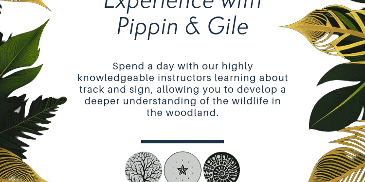 Example Gift Voucher for a Track & Sign Experience