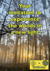 a woodland at sunset with the words - "your invitation to experience the woods in a new light"